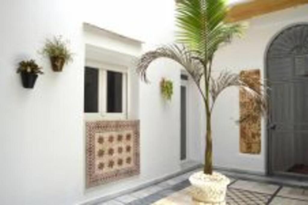 Apartamento Veedor 19 Dias Y Muchas Noches Cádiz Exteriör bild